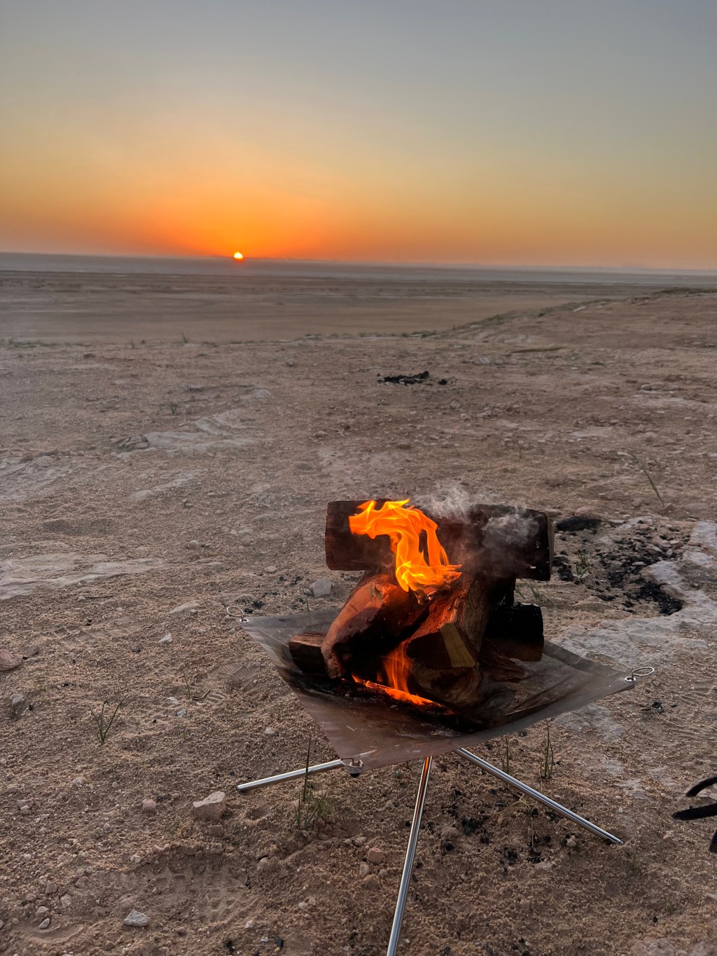 Little Happy Moments