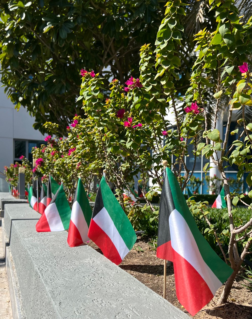 Celebrations All Around