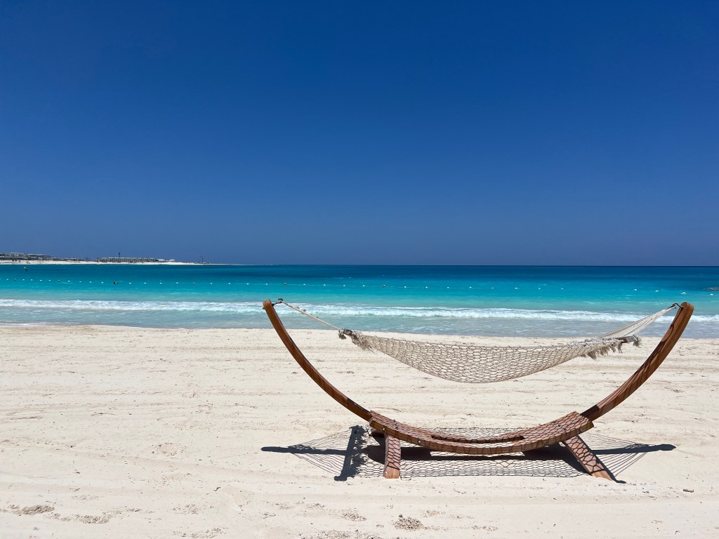 Long Awaited Updates